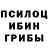 Псилоцибиновые грибы прущие грибы Sergei Honor