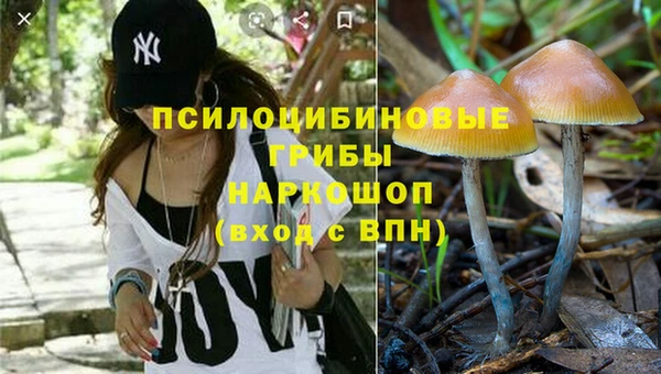 а пвп мука Алзамай