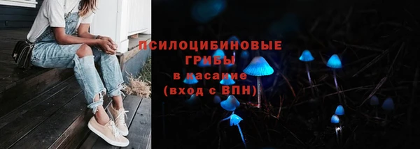 а пвп мука Алзамай